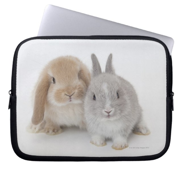 Capa Para Notebook Dois Países Baixos anão e bunnias Holland Lop (Frente)