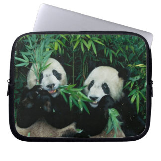 Capa Para Notebook Dois pandas comendo bambu juntos, Wolong
