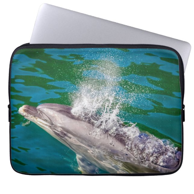 Capa Para Notebook Dolphin In Milford Sound, Nova Zelândia (Frente)