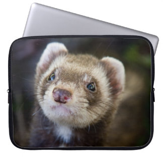 Capa Para Notebook Doninha