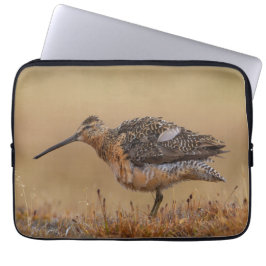 Capa Para Notebook Dowitcher de bico longo