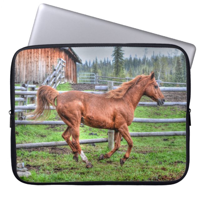 Capa Para Notebook Dun Pony, Cavalo no Ranch I (Frente)