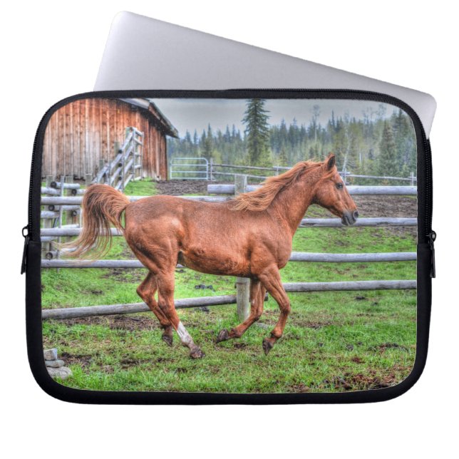 Capa Para Notebook Dun Pony, Cavalo no Ranch I (Frente)