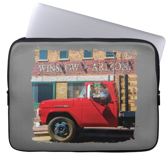 Capa Para Notebook É um esquilo, meu senhor (Frente)