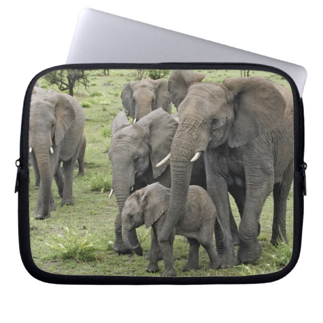 Capa Para Notebook efetivo afro-elefante, Loxodonta africana, 2 (Frente)