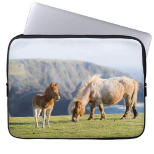 Capa Para Notebook Égua com potro, Ilhas Shetland, Escócia