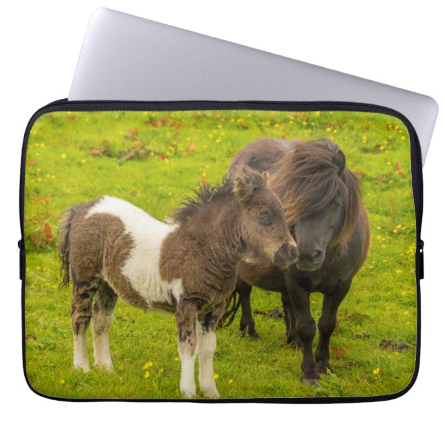 Capa Para Notebook Égua de pônei Shetland e cria (Frente)