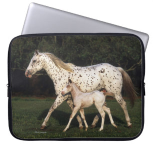 Capa Para Notebook Égua e potro do Appaloosa no campo
