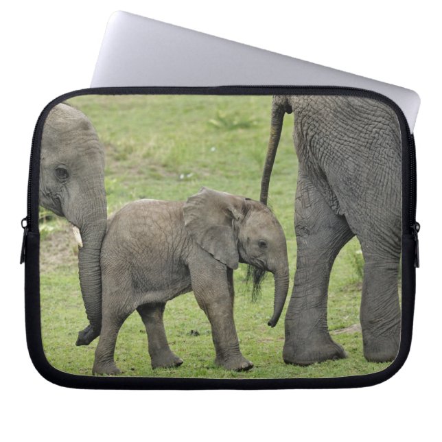 Capa Para Notebook Elefante Africano Feminino com Bebê (Frente)
