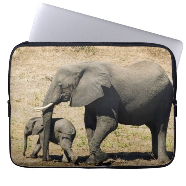 Capa Para Notebook Elefante e mãe do bebê (Frente)