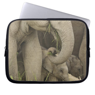 Capa Para Notebook Elefante indiano / asiático e filhote, Corbett 3