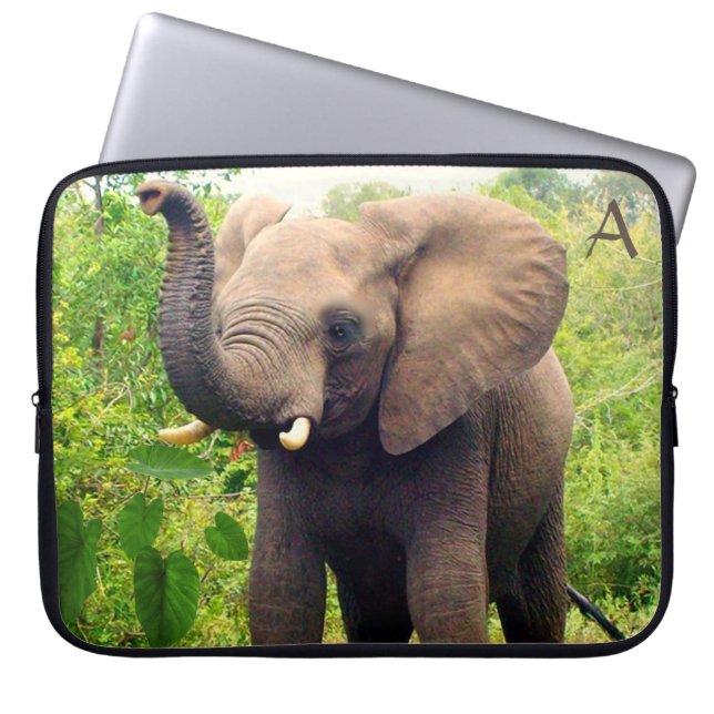 Capa Para Notebook Elefante selvagem com plantas tropicais e monogram (Frente)
