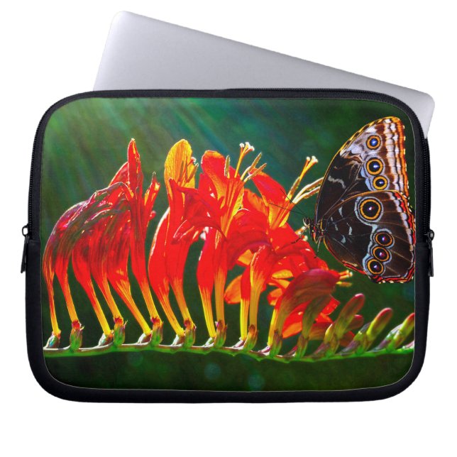 Capa Para Notebook Eletrônicos (Frente)