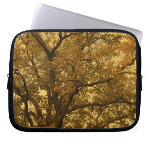 Capa Para Notebook Eletrônicos Bag Autumn Massive Tree Yellow
