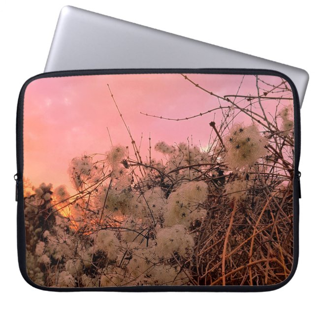 Capa Para Notebook Eletrônicos De Inverno De Sunset E Vinhas De Clema (Frente)
