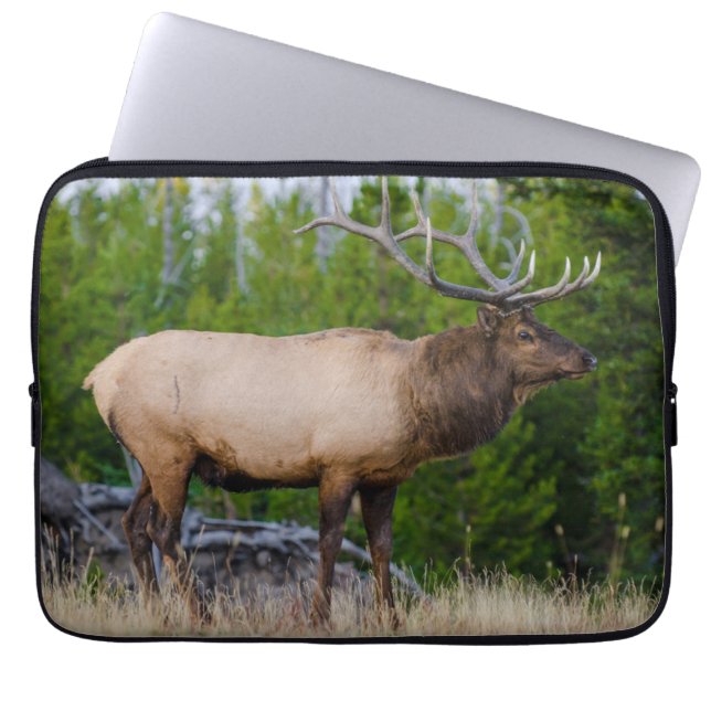 Capa Para Notebook Elk | Parque Nacional Yellowstone, Wyoming (Frente)