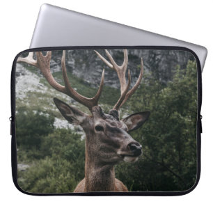 CAPA PARA NOTEBOOK ELK STACK DEER