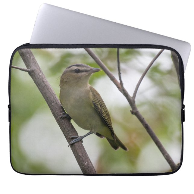 Capa Para Notebook Emerald Elegance: Vireo canadense de olhos vermelh (Frente)