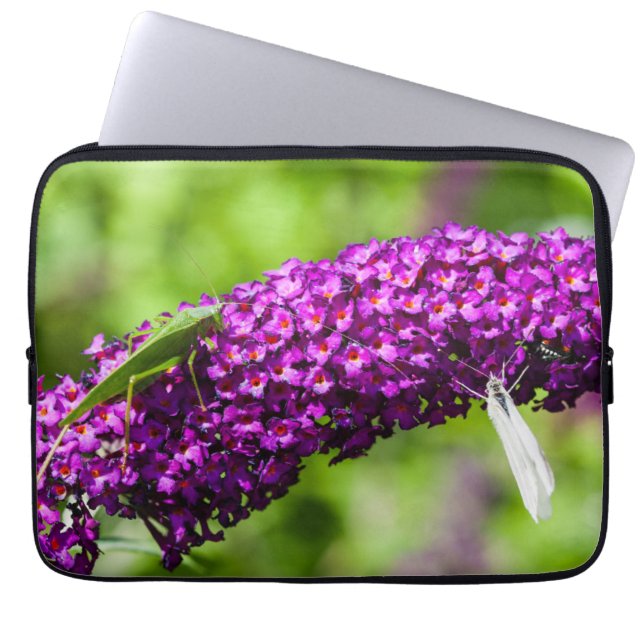 Capa Para Notebook energia katydid (Frente)