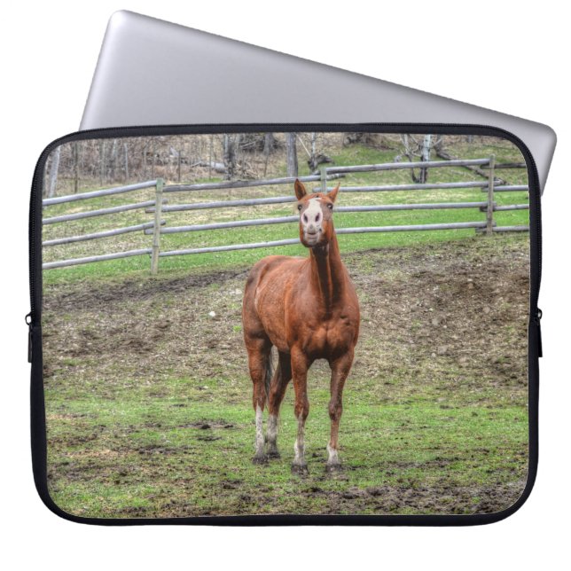 Capa Para Notebook Engraçado Chestnut Stallion Horse Whinnying Foto (Frente)