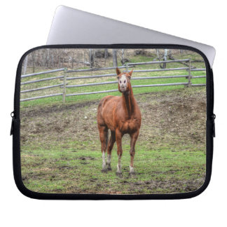 Capa Para Notebook Engraçado Chestnut Stallion Horse Whinnying Foto