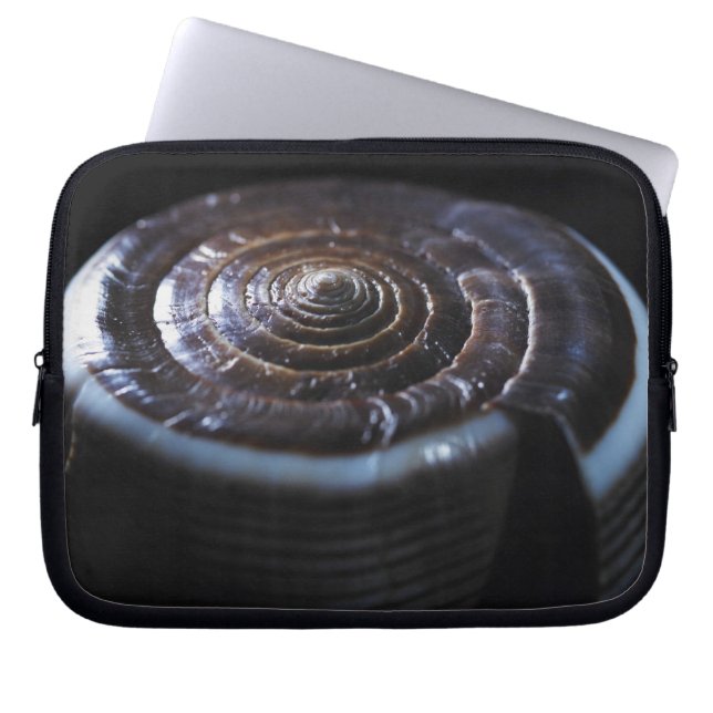 Capa Para Notebook Escudo do cone (Frente)