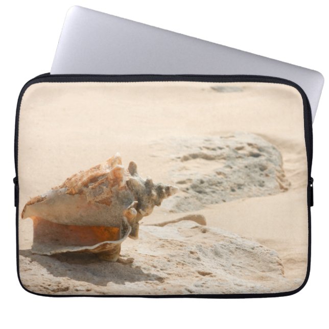 Capa Para Notebook Escudos do mar na praia (Frente)