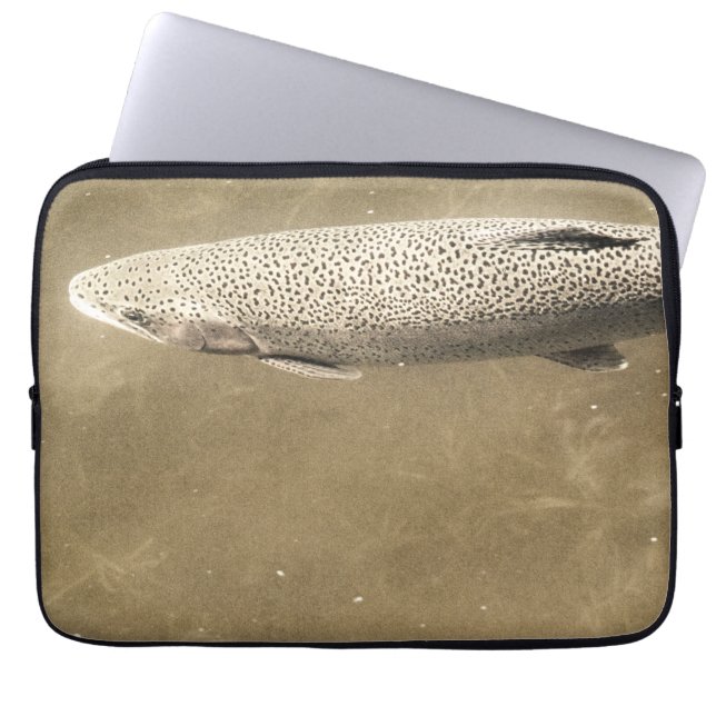 Capa Para Notebook Espectro (Frente)