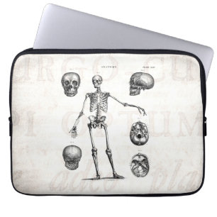 Capa Para Notebook Esqueletos antigos de esqueleto da anatomia dos
