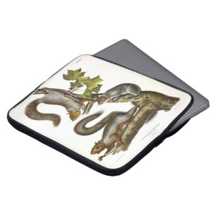 Capa Para Notebook Esquilo das Cinzas orientais (Esquilo Migratório)