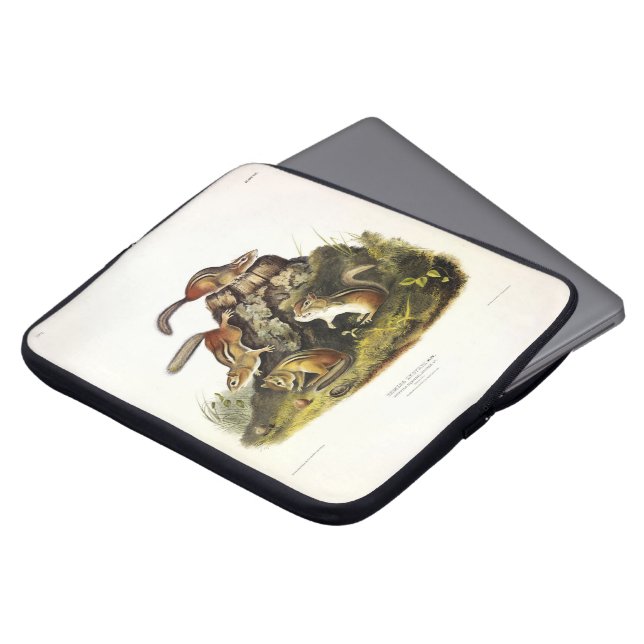 Capa Para Notebook Esquilo de chipset ( Chipmunk oriental ) por Audub (Frente Topo)