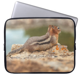 Capa Para Notebook Esquilo do Manto ouro