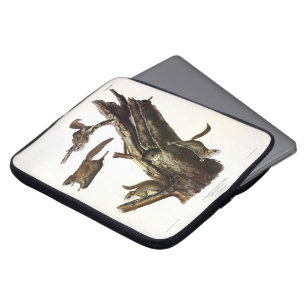 Capa Para Notebook Esquilo Voador Comum ou Sul, ou o Assapão