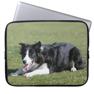 Capa Para Notebook Estabelecimento de border collie