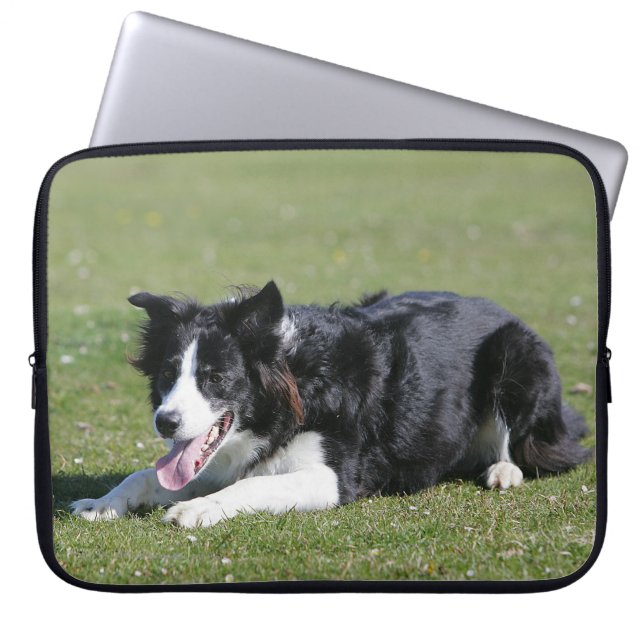 Capa Para Notebook Estabelecimento de border collie (Frente)