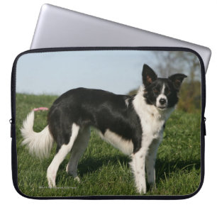 Capa Para Notebook Estar de border collie