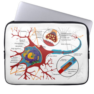 Capa Para Notebook Estilo do nervo dos neurônios