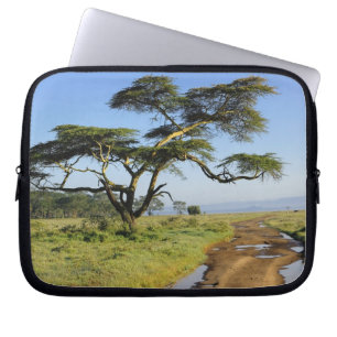 Capa Para Notebook Estrada de terra primitiva e árvore de acácia, Lag
