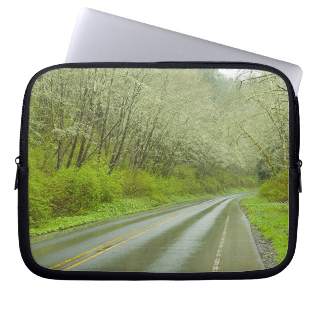 Capa Para Notebook Estrada remota através da floresta (Frente)