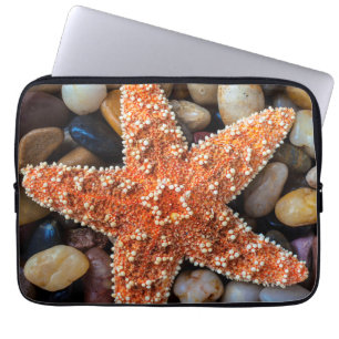 Capa Para Notebook Estrela do mar em rochas