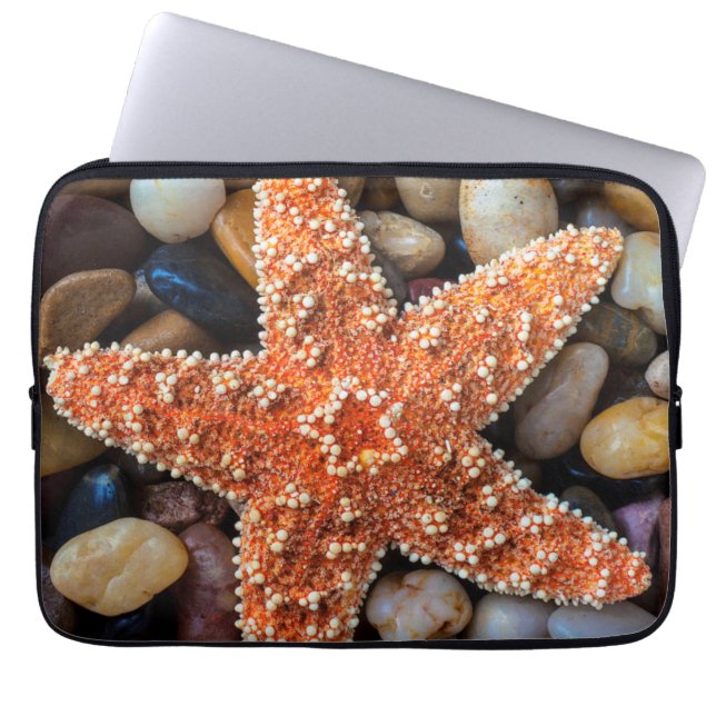 Capa Para Notebook Estrela do mar em rochas (Frente)