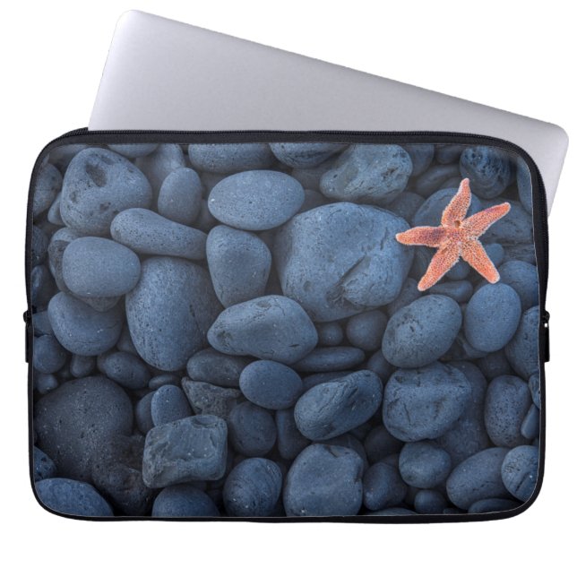 Capa Para Notebook Estrela do mar em rochas pretas ao longo da costa (Frente)