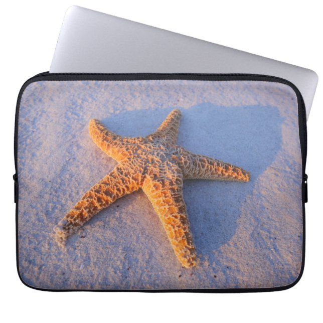 Capa Para Notebook Estrela do mar na areia branca (Frente)