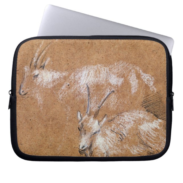 Capa Para Notebook Estudo das cabras (desenho) (Frente)