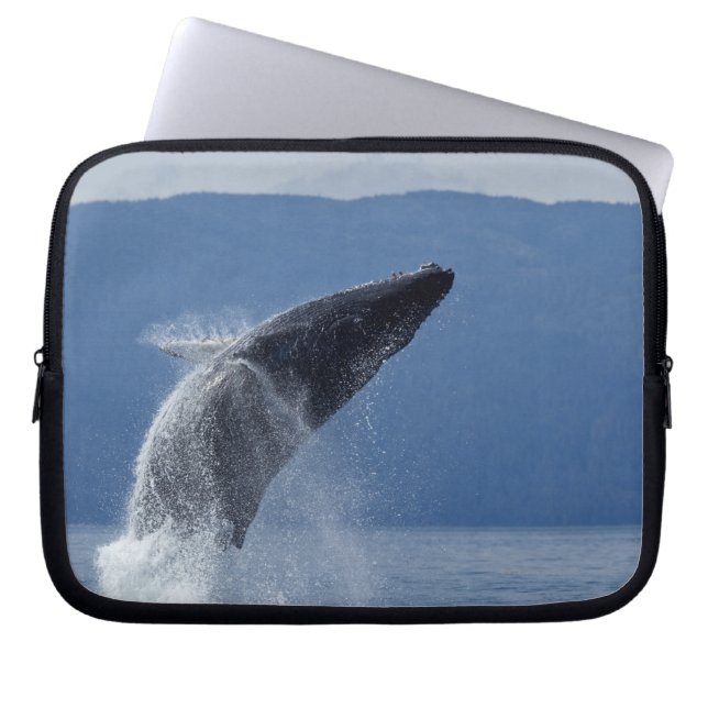 Capa Para Notebook EUA, Alaska, Angoon, Baleia-jubarte (Megaptera) (Frente)