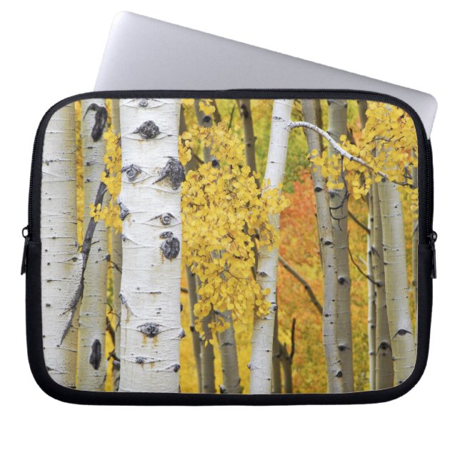 Capa Para Notebook EUA, Colorado, Montanhas Rochosas. Álamo íntimo (Frente)