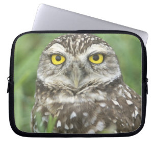 Capa Para Notebook EUA, Flórida, Cape Coral, Coruja-buraqueira (Athen