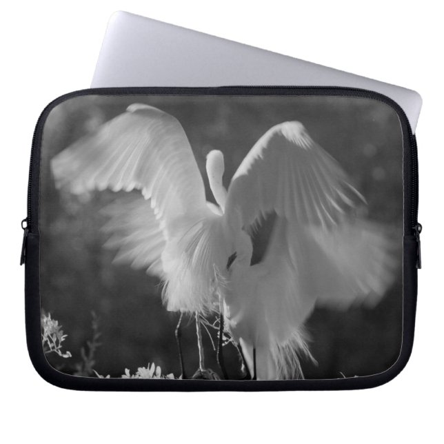 Capa Para Notebook EUA, Flórida, Garça-branca-grande (Ardea alba) inf (Frente)