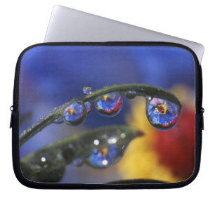 Capa Para Notebook EUA, Oregon, Portland, Close-up de joaninha