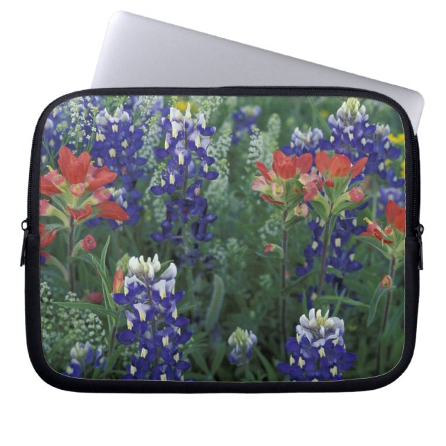 Capa Para Notebook EUA, Texas Hill Country. Bluebonnets e (Frente)